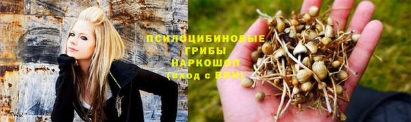 экстази Новодвинск